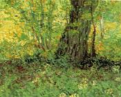 文森特 威廉 梵高 : 灌木